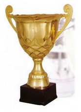 Кубок 2007 B ― НАГРАДЫ ТУТ - магазин наград, кубков, медалей, подарков.