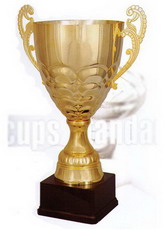 Кубок 2009 A ― НАГРАДЫ ТУТ - магазин наград, кубков, медалей, подарков.