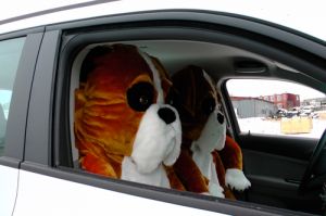 Чехол-накидка на сиденье, кресло автомобиля Собака за рулем