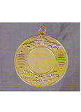 Медаль MD1050/G + эмблема